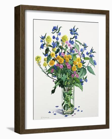 Wild Flowers with Alkanet, 2021 (w/c on paper)-Christopher Ryland-Framed Giclee Print