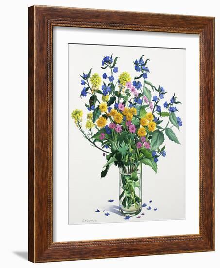 Wild Flowers with Alkanet, 2021 (w/c on paper)-Christopher Ryland-Framed Giclee Print