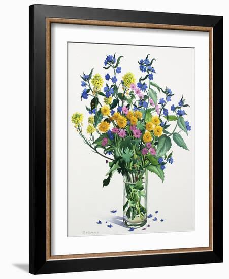 Wild Flowers with Alkanet, 2021 (w/c on paper)-Christopher Ryland-Framed Giclee Print