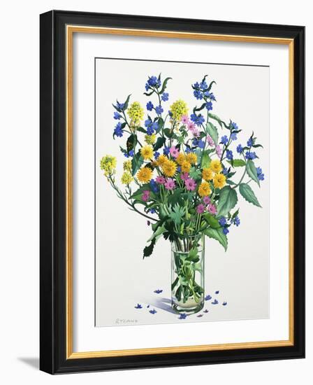 Wild Flowers with Alkanet, 2021 (w/c on paper)-Christopher Ryland-Framed Giclee Print