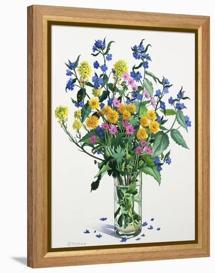 Wild Flowers with Alkanet, 2021 (w/c on paper)-Christopher Ryland-Framed Premier Image Canvas