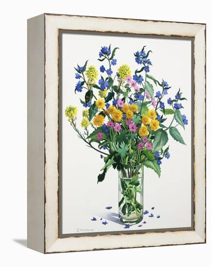 Wild Flowers with Alkanet, 2021 (w/c on paper)-Christopher Ryland-Framed Premier Image Canvas