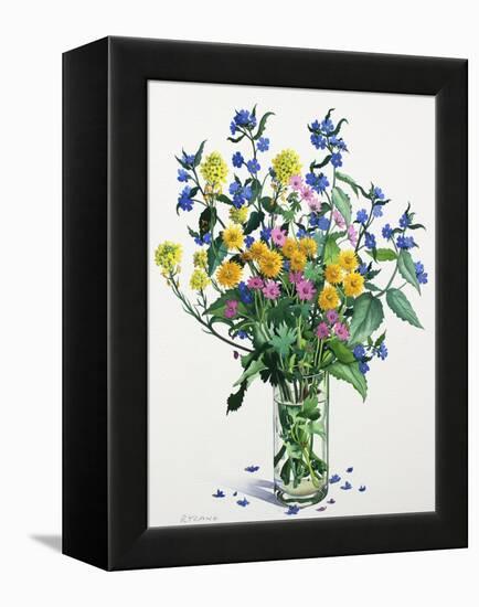 Wild Flowers with Alkanet, 2021 (w/c on paper)-Christopher Ryland-Framed Premier Image Canvas