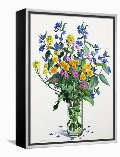 Wild Flowers with Alkanet, 2021 (w/c on paper)-Christopher Ryland-Framed Premier Image Canvas