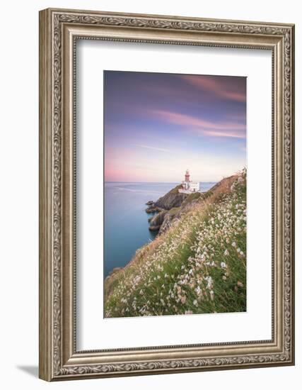 Wild flowers with Baily Lighthouse in the background-Roberto Moiola-Framed Photographic Print