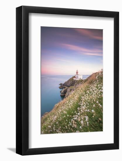 Wild flowers with Baily Lighthouse in the background-Roberto Moiola-Framed Photographic Print