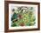 Wild Flowers with Comfrey and Campion-Christopher Ryland-Framed Giclee Print