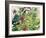 Wild Flowers with Comfrey and Campion-Christopher Ryland-Framed Giclee Print