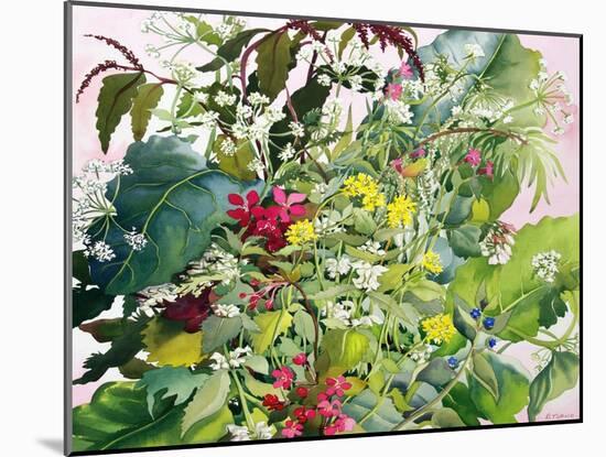 Wild Flowers with Comfrey and Campion-Christopher Ryland-Mounted Giclee Print