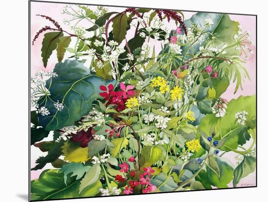 Wild Flowers with Comfrey and Campion-Christopher Ryland-Mounted Giclee Print
