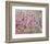 Wild flowers-Claire Westwood-Framed Premium Giclee Print