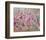Wild flowers-Claire Westwood-Framed Premium Giclee Print