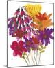 Wild Flowers-Kim Johnson-Mounted Giclee Print