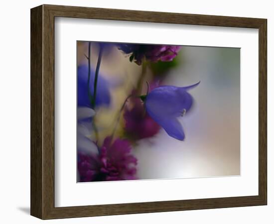 Wild Flowers-Heidi Westum-Framed Photographic Print