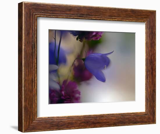 Wild Flowers-Heidi Westum-Framed Photographic Print