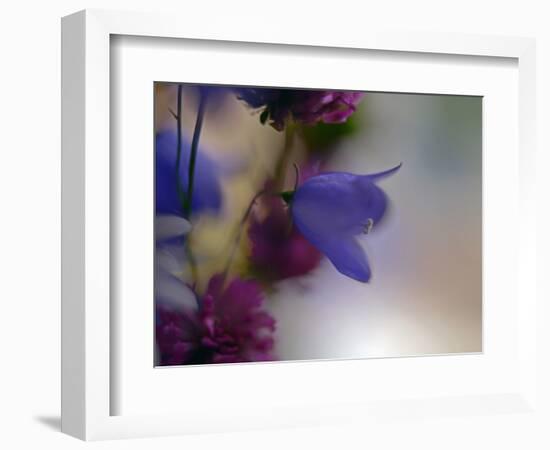 Wild Flowers-Heidi Westum-Framed Photographic Print