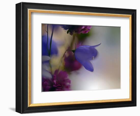 Wild Flowers-Heidi Westum-Framed Photographic Print