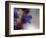 Wild Flowers-Heidi Westum-Framed Photographic Print