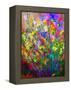 Wild Flowers-Pol Ledent-Framed Stretched Canvas