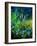 Wild flowers-Pol Ledent-Framed Art Print