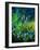 Wild flowers-Pol Ledent-Framed Art Print