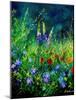 Wild flowers-Pol Ledent-Mounted Art Print