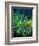 Wild flowers-Pol Ledent-Framed Premium Giclee Print