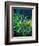 Wild flowers-Pol Ledent-Framed Premium Giclee Print