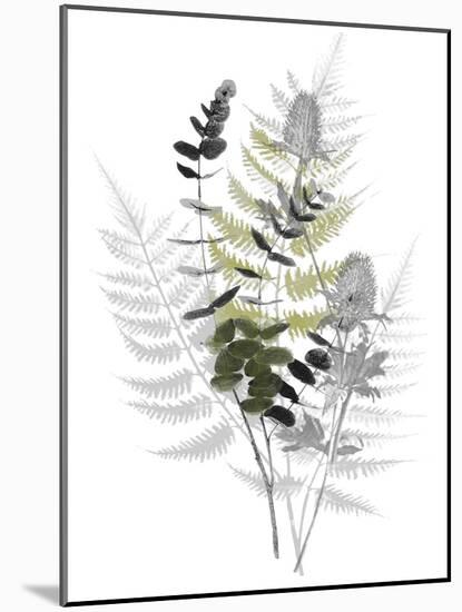 Wild Foliage - Rustic-Collezione Botanica-Mounted Giclee Print