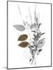 Wild Foliage - Simple-Collezione Botanica-Mounted Giclee Print