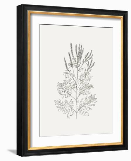 Wild Foliage Sketch II-Victoria Borges-Framed Art Print