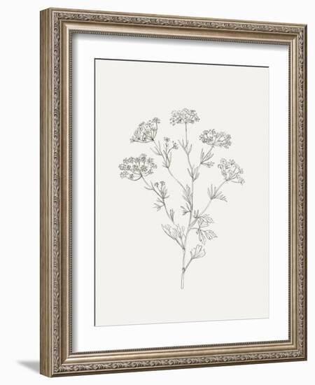 Wild Foliage Sketch III-Victoria Borges-Framed Art Print