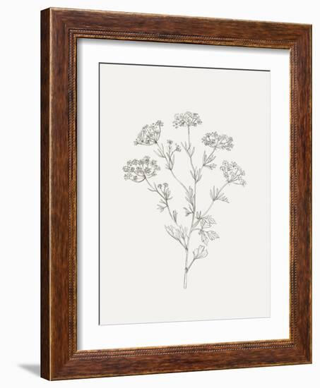 Wild Foliage Sketch III-Victoria Borges-Framed Art Print