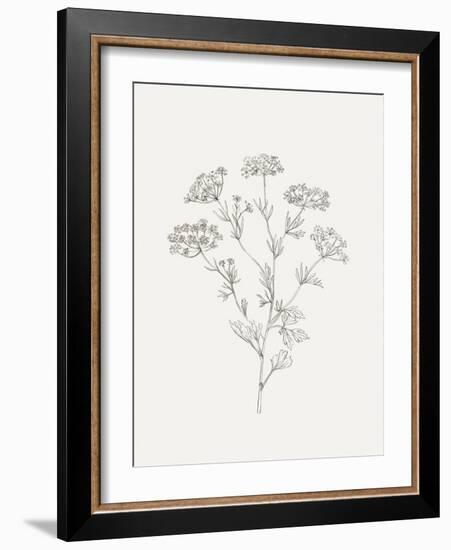 Wild Foliage Sketch III-Victoria Borges-Framed Art Print