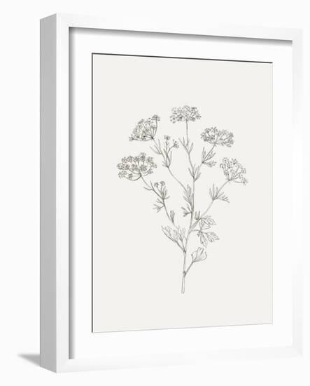 Wild Foliage Sketch III-Victoria Borges-Framed Art Print