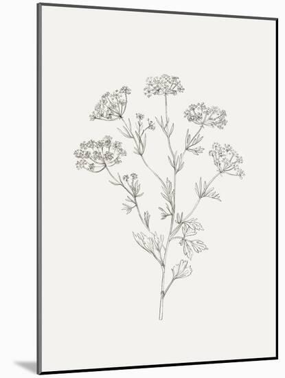 Wild Foliage Sketch III-Victoria Borges-Mounted Art Print