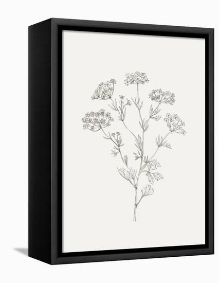 Wild Foliage Sketch III-Victoria Borges-Framed Stretched Canvas