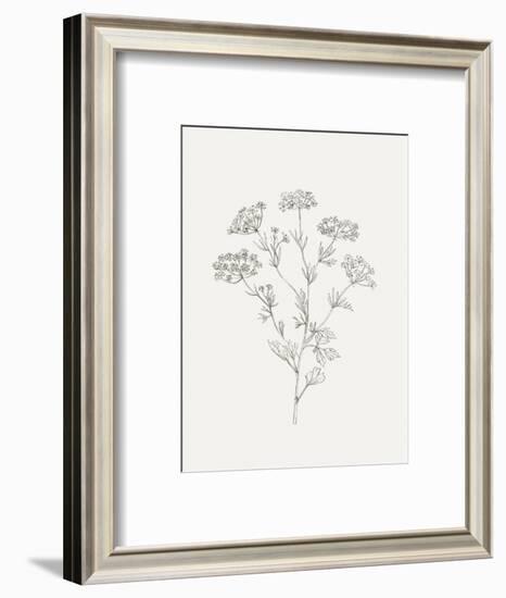 Wild Foliage Sketch III-Victoria Borges-Framed Art Print