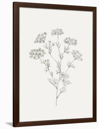 Wild Foliage Sketch III-Victoria Borges-Framed Premium Giclee Print