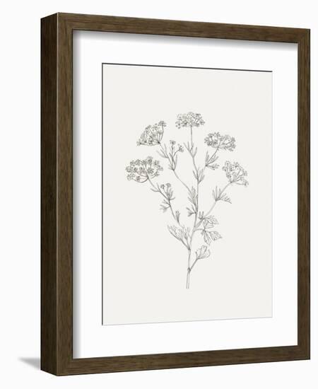 Wild Foliage Sketch III-Victoria Borges-Framed Premium Giclee Print