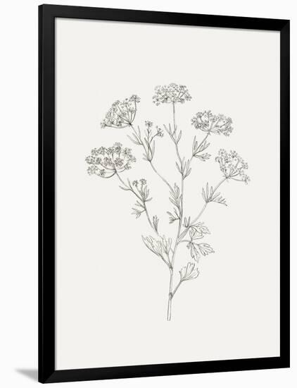 Wild Foliage Sketch III-Victoria Borges-Framed Art Print