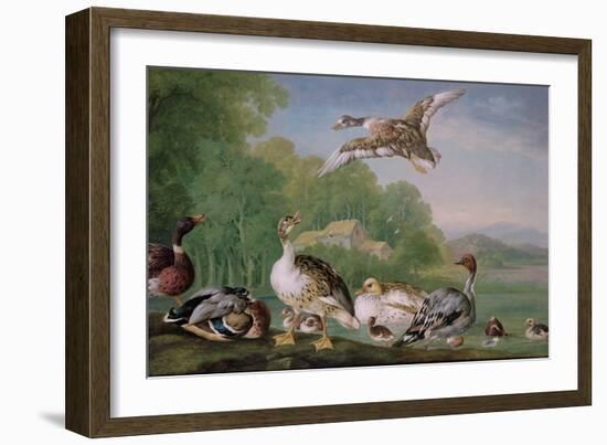 Wild Fowl, 18Th Century-Pieter Casteels-Framed Giclee Print