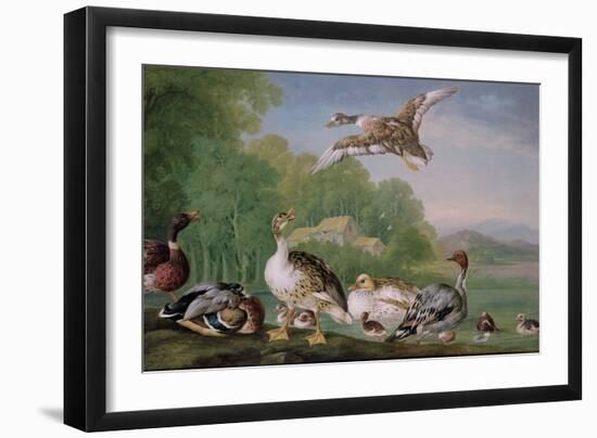 Wild Fowl, 18Th Century-Pieter Casteels-Framed Giclee Print