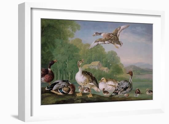 Wild Fowl, 18Th Century-Pieter Casteels-Framed Giclee Print