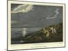 Wild Fowl Shooting-Henry Thomas Alken-Mounted Giclee Print