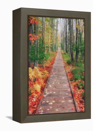 Wild Garden of Acadia Path-Vincent James-Framed Premier Image Canvas