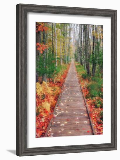 Wild Garden of Acadia Path-Vincent James-Framed Photographic Print