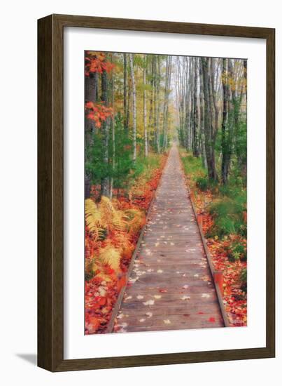 Wild Garden of Acadia Path-Vincent James-Framed Photographic Print