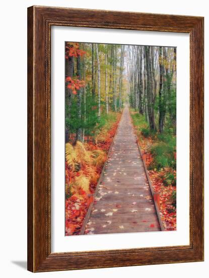 Wild Garden of Acadia Path-Vincent James-Framed Photographic Print