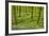 Wild Garlic and Bluebell Carpet in Beech Wood, Hallerbos, Belgium-Biancarelli-Framed Photographic Print